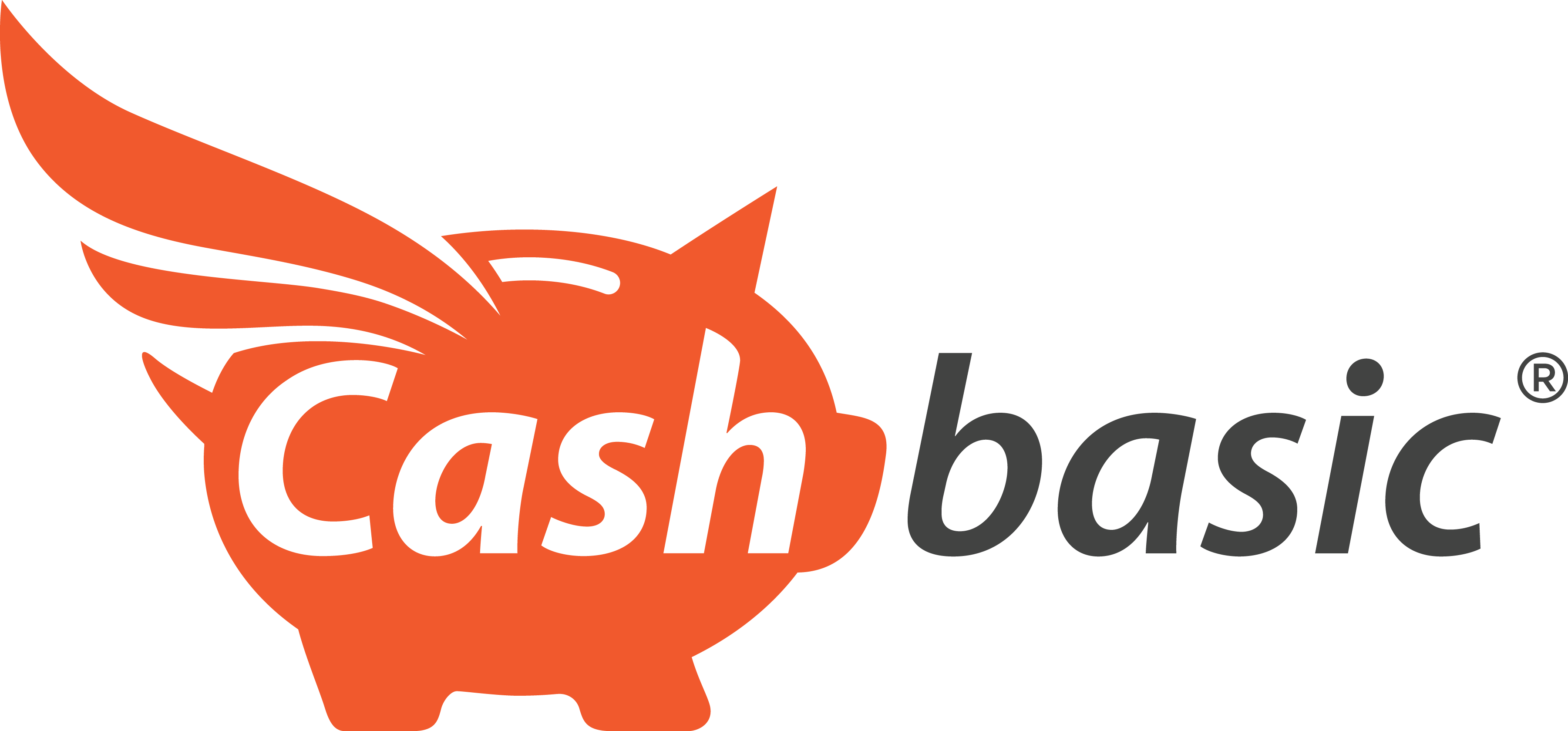 Cash Basic